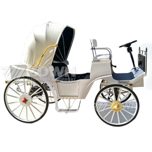 Charrette de tourisme vintage de haute qualité pour 4 à 6 personnes, couleur personnalisée, traînée par des chevaux ou électrique, pour les touristes des parcs - Product Image 4