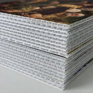 Chaîne d'approvisionnement mondiale, <span class=keywords><strong>plaque</strong></span> de feuille de <span class=keywords><strong>polypropylène</strong></span> ondulée en nid d'abeille, <span class=keywords><strong>plaque</strong></span> de feuille de <span class=keywords><strong>polypropylène</strong></span> avec service de découpe, écologique, imperméable - Product Image 6