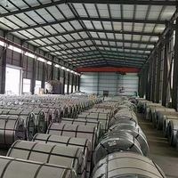 Feuillard d'acier galvanisé Gi Strips Coil 9007 Ral Cold Roll
