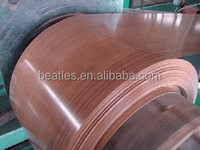 Bobine d'acier galvanisé prépeint (PPGI) de qualité SGCC, épaisseur 0,12 mm, normes DIN/BS/ASTM/AISI/JIS, plaque de toiture/mur haute résistance, revêtement couleur