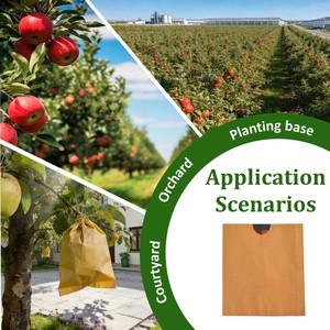 Sacchetti di Carta Cerata per Protezione Frutta con Strato Interno Rosso per Colorazione Migliorata in Piccoli Frutteti e Aziende Agricole Familiari - Product Image 6