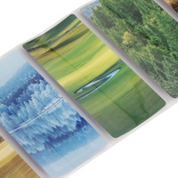 Etiquetas Autoadhesivas de PVC Impermeable con Impresión Flexográfica para Decoración de Botellas de Agua Mineral