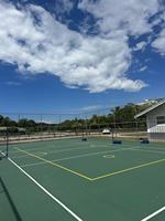Cat Acrylic Permukaan Bantalan untuk Lapangan Pickleball, Harga Pabrik, Penyerap Guncangan, Tahan Segala Cuaca, Ubin Lantai Olahraga yang Tahan Lama