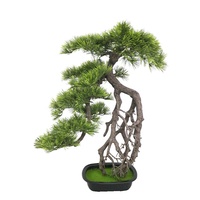 Pohon Pinus Cina Buatan Bentuk Khusus Tinggi 50cm Pohon Pinus Dekoratif