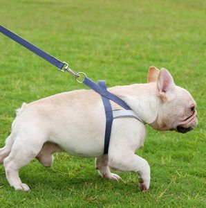 Rompi hewan peliharaan, <span class=keywords><strong>Harness</strong></span> anjing sedang besar, pengambil emas tali Jalan - Product Image 3