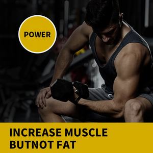 Sağlık takviyesi whey protein kitle gainer kas yardım onarım ve korumak geliştirmek kas spor kreatin peynir altı suyu protein tozu - Product Image 5