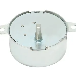 Tyd42 220V/110V/24V/12V/6V >= 2W Nominale Snelheid: 5/6, 8/10, 12/14, 15/18, 25/30, 30/33 R/Min Ac Synchrone Motor