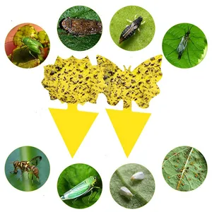 Piège à mouches collant papier jaune insecte colle piège papillons mouches des fruits pièges collants