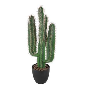 Nuovo stile albero Bonsai pianta di plastica grande <span class=keywords><strong>Cactus</strong></span> artificiale per la decorazione del Patio - Product Image 4