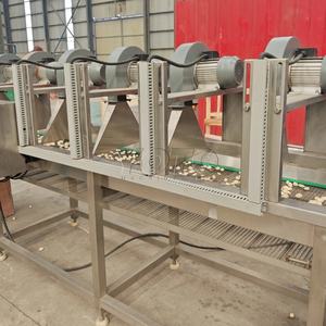 Máquina Peladora Automática de Bulbos de Ajo con Clasificación por Tamaño, Larga Vida Útil, 6 Meses de Garantía - Marca Hadof - Product Image 2