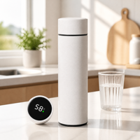 Bouteille d'eau intelligente en acier inoxydable 316, motif dessin animé, 500 ml, avec affichage LED tactile de la température, tasse isotherme avec couvercle, cadeau pour l'extérieur