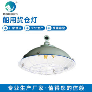 CGD3-2 High-Power Marine Steel Single-Five <b>Bulb</b> Chandelier with Mesh <b>Cover</b> for Cargo Holds Warehouses Explosion-proof <b>Lights</b> - Product Image 3