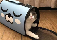Sac de transport imperméable pour vêtements Oxford, sac de voyage pour animaux de compagnie, sac à main pour chien et chat