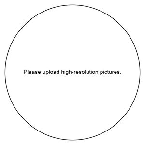 Plancha de Marcado <span class=keywords><strong>Profesional</strong></span> de Latón para Grabado Personalizado, Molde de Prensa Térmica para Cuero, Madera, Papel y Manualidades DIY - Product Image 6