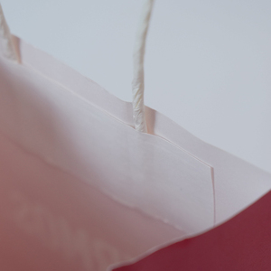 ถุงกระดาษคราฟท์พิมพ์ลายตามสั่ง สีขาว เคลือบฟิล์ม ปั๊มนูน/ปั๊มจม ราคาโรงงาน ของใหม่ - Product Image 6