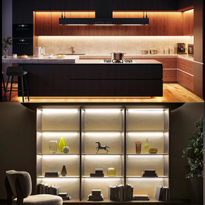 แถบไฟ LED สองสี CCT ยาว5เมตร24V DC ปรับอุณหภูมิได้ - Product Image 5