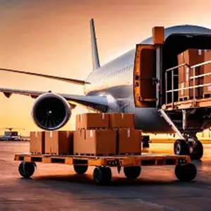 Ấn Độ đến Nam Phi xuất khẩu & nhập khẩu không khí + dịch vụ chuyển phát nhanh vận chuyển an <span class=keywords><strong>to</strong></span>àn cho tất cả các sản phẩm giá cả cạnh tranh - Product Image 4