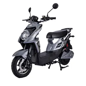 Hinese-motocicleta eléctrica para adulto, scooter de largo alcance, 1500W