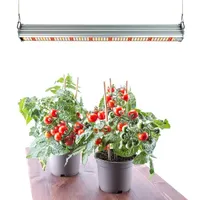 كامل الطيف متكاملة تزايد الطماطم 4ft 120w جهين مصباح مصباح إضاءة LED للنمو ل الدفيئة المائية نبات داخلي