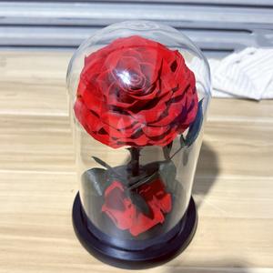 Hoa hồng thật được bảo quản lâu dài trong chuông thủy tinh có đèn LED, hộp quà tặng hoa bất tử, quà tặng Valentine, sinh nhật, cưới hỏi - Product Image 3