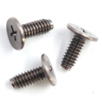 Vis à tête plate ultra-basse à empreinte cruciforme Phillips M2*5mm pour ordinateur portable, en acier nickelé noir, vis fines pour machine, système métrique