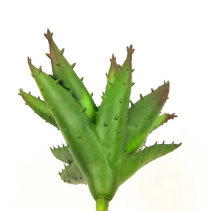 Suculentas Artificiales, Aloe <span class=keywords><strong>Vera</strong></span> Gigante Invertido, Material <span class=keywords><strong>de</strong></span> PVC Ecológico Realista, Planta Decorativa para Hogar, Jardín y Oficina - Product Image 6