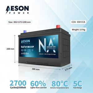 새로운 에이슨 파워 나포스 95D31L 나트륨 이온 자동차 배터리 12V 650CCA 33Ah 2700 사이클 5.9KG 경량 긴 수명 - Product Image 4