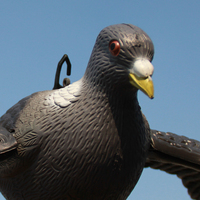 Épouvantail à oiseaux volant de haute qualité avec un déguisement de pigeon de chasse en plastique étendu pour effrayer les oiseaux