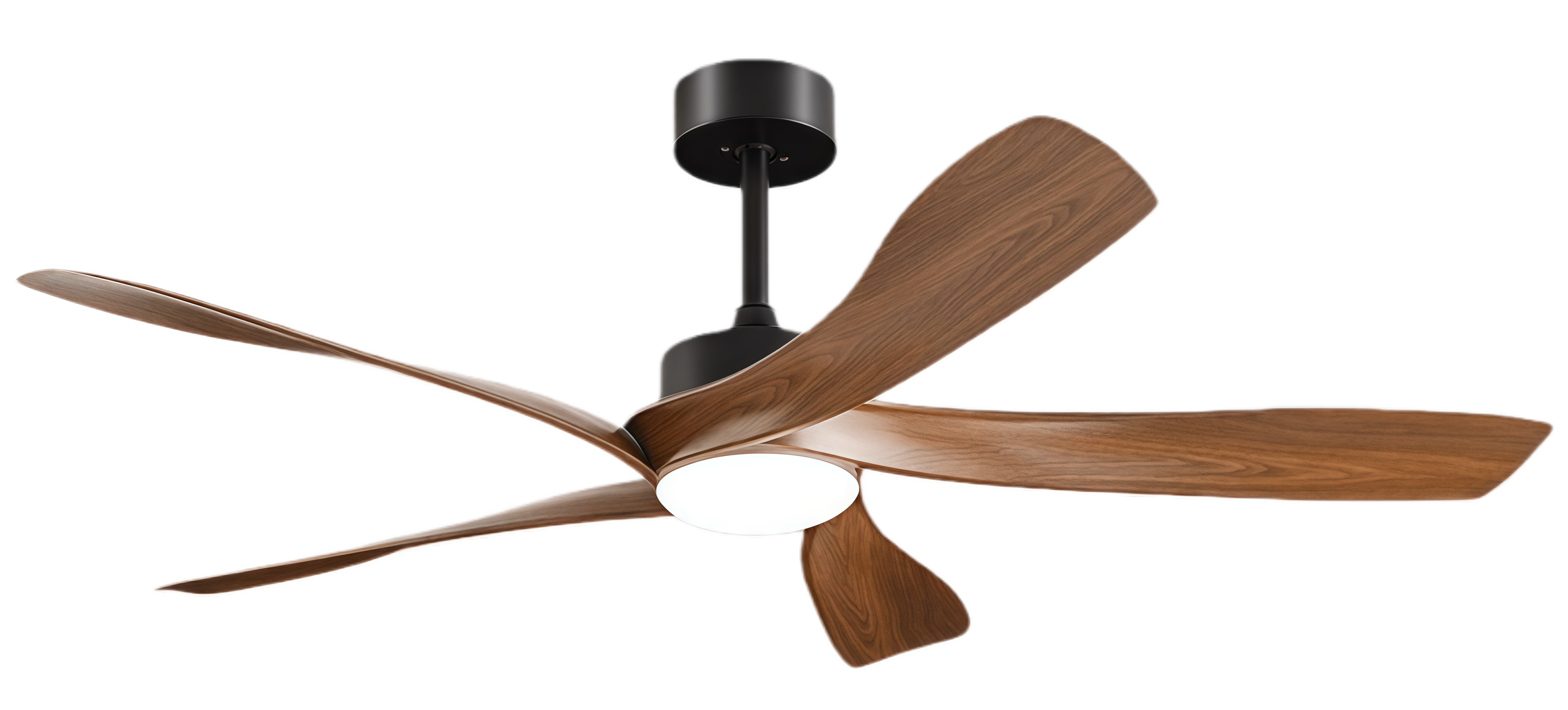 ไม้วอลนัท