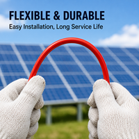 Bestseller 2,5mm XLPE-Stromkabel Verzinntes Kupfer LSZH-Mantel Niederspannungs-Flexkabel für Solar-PV-System-Installation