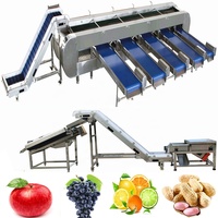 Peer Citroen Vruchten Verwerking Lijn Voor Druif Wasmachine Met Litchi Oranje Sorteren Apparatuur Avocado Drogen Machines