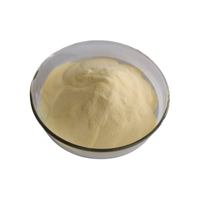 Poudre de fruits en gros de qualité alimentaire : Poudre de melon Hami naturelle et Poudre de jus de melon Cantaloup
