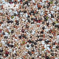 Mélange Alimentaire de Gros Équilibre Sportif pour Jeunes Pigeons : Pois, Millet, Graines de Tournesol, Graines d'Alpiste et Sorgho Séchés