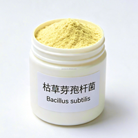 Bacillus Subtilis 100 milliards UFC/g Additif alimentaire probiotique pour la stabilité de la lactation des chèvres laitières, pour l'alimentation des chèvres laitières en phase de lactation prolongée et l'alimentation en fourrage