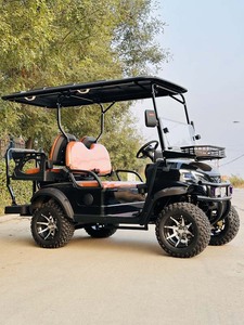 Carros de golf eléctricos con control remoto a la venta, el mejor carrito de golf motorizado, compre un coche de golf - Product Image 6