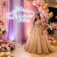 Декорации для вечеринки Mis Quince: неоновая вывеска, украшения для 15-го дня рождения, декор для Quinceanera, украшения для Fiesta XV, декорации на 15 лет