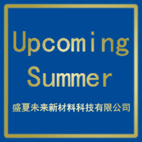 Guangdong Shengxia Guangnian New Material Technology Co., Ltd. logo