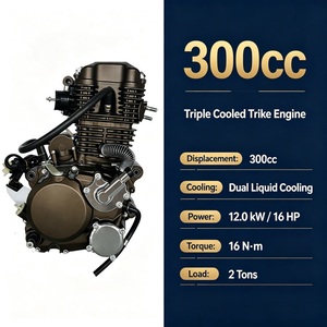 Moteur monocylindre 300cc 4 <span class=keywords><strong>temps</strong></span> CDI neuf à triple refroidissement pour tricycle, assemblage direct usine OEM - Product Image 4