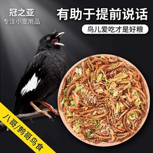 Nourriture pour oiseaux à haute teneur en protéines pour les mynas, 85 % de protéines, complément alimentaire naturel, formule d'alimentation - Product Image 5