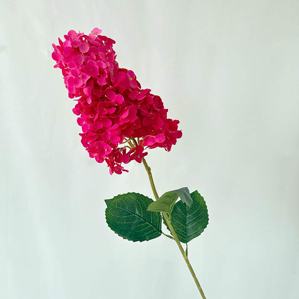 Hydrangée Pagode Fleur de Prunier, Rouge Rosé