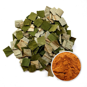 Lotusbladextract |   Nelumbine 1% tot 98% |   Totale Flavonoïden 10% tot 90% |   Natuurlijk gewichtsbeheersing |   Aanpasbaar bulkpoeder - Product Image 3