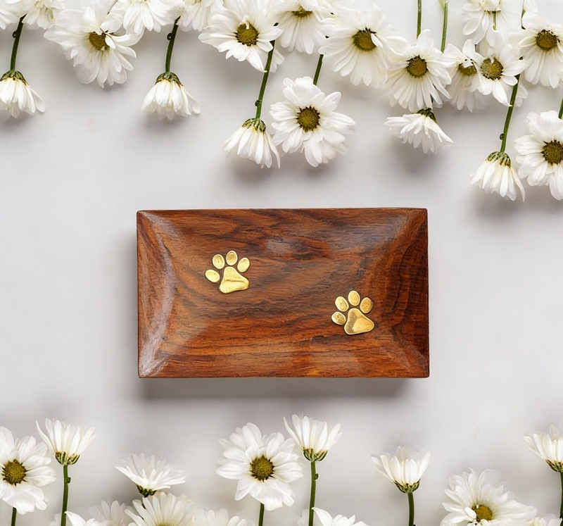 Pet Urn Box Cat Dog Wooden