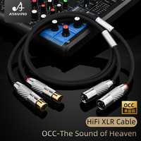 Câble audio professionnel haute performance Hifi 2Xlr mâle à 2Xlr femelle OCC Microphone câble mélangeur haut-parleur 3 broches XLR prise or