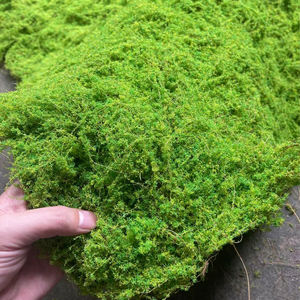 सिम्युलेटेड मॉस टर्फ, सिम्युलेटेड ब्राउन और ग्रीन मॉस टर्फ कारखाने थोक, परिदृश्य सजावट मोएस टर्फ - Product Image 6