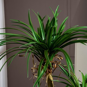 Árbol de Dracaena Artificial para Espacios Decorativos Interiores, Planta <span class=keywords><strong>Verde</strong></span> Grande en Maceta para Decoración de Sala de Estar, Oficina y Hogar - Product Image 3