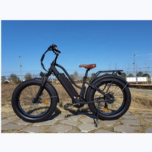 Bicicleta Eléctrica <span class=keywords><strong>Fat</strong></span> Ebike para mujer, bici de 24 pulgadas, <span class=keywords><strong>2021</strong></span> W/500W, paso a través, Crucero de playa, nueva de 750 - Product Image 2