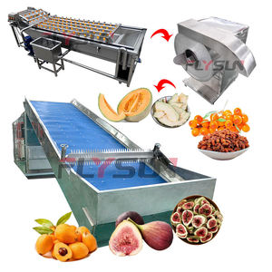 Fabricant de lignes de traitement alimentaire polyvalentes directes usine, de machines à laver les piments et de sécheurs à bande maillée pour fruits et légumes - Product Image 1