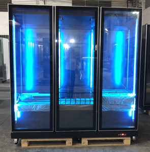 Réfrigérateur Vitré Vertical <span class=keywords><strong>Économique</strong></span> pour Boissons / Vitrine Réfrigérée pour Bières et Boissons de Restaurant - Product Image 2