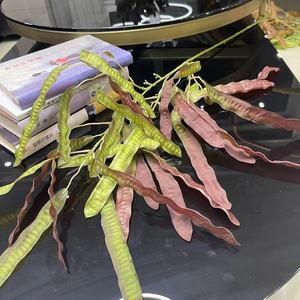 Bean Pod Tianjin Best Customized Dried Everlasting Bean Plant Wedding Mother's Day Decoration Preserved Flower <strong>Bouquet</strong> Bohemian - Product Image 6