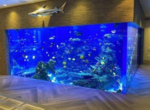 Grands réservoirs de poissons <span class=keywords><strong>Aquarium</strong></span> en acrylique Réservoir de poissons Réservoir en acrylique <span class=keywords><strong>Aquarium</strong></span> - Product Image 2